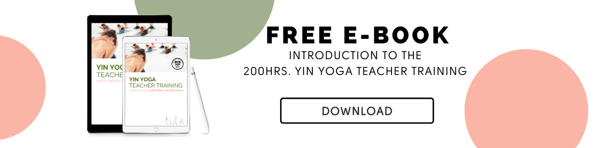 Yin Teacher Training e-book